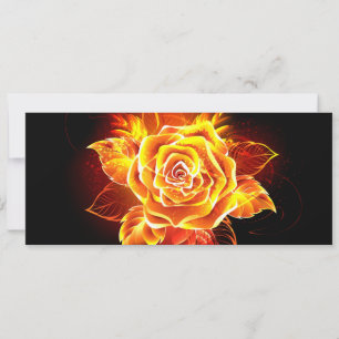 Blooming Fire Rose Announcement