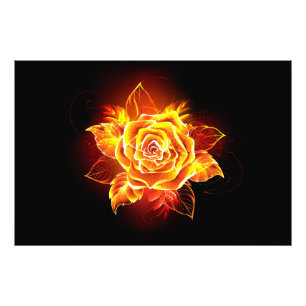 Blooming Fire Rose Photo Print