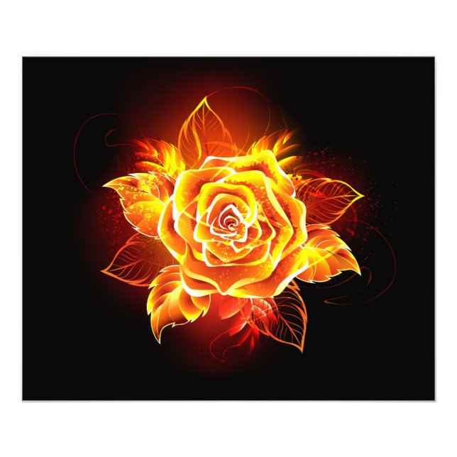 Blooming Fire Rose Photo Print (Front)