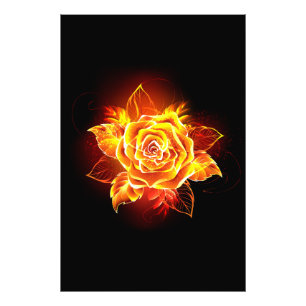 Blooming Fire Rose Photo Print