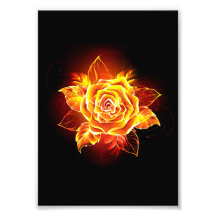 Blooming Fire Rose Photo Print