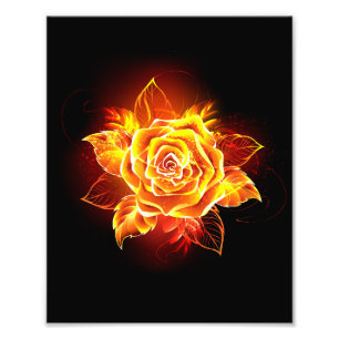 Blooming Fire Rose Photo Print