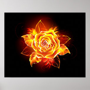 Blooming Fire Rose Poster