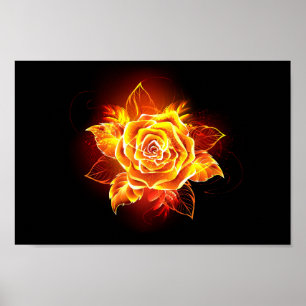 Blooming Fire Rose Poster