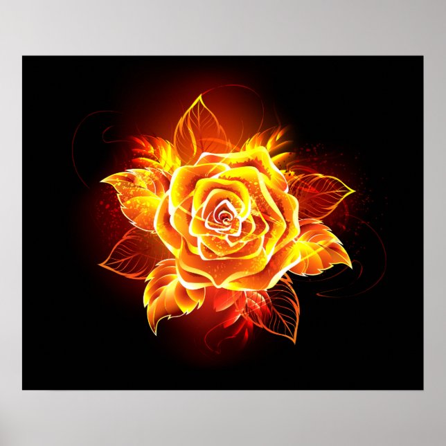 Blooming Fire Rose Poster (Front)