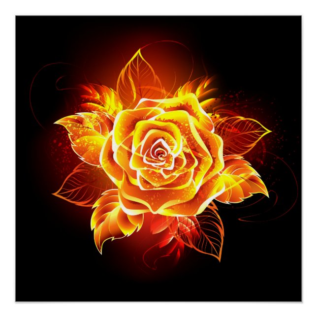 Blooming Fire Rose Poster (Front)