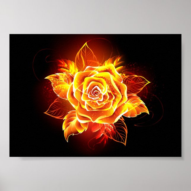Blooming Fire Rose Poster (Front)