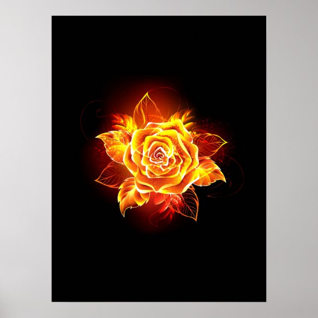 Blooming Fire Rose Poster (Front)