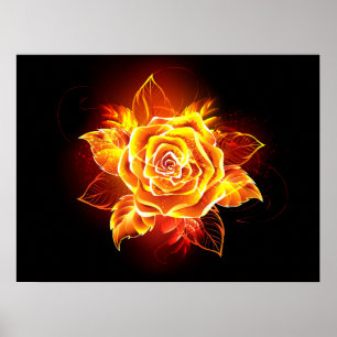 Blooming Fire Rose Poster