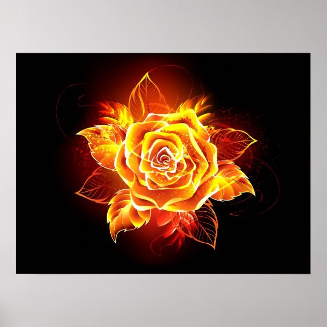 Blooming Fire Rose Poster (Front)