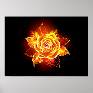 Blooming Fire Rose Poster