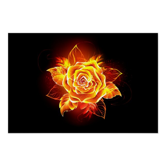 Blooming Fire Rose Poster (Front)