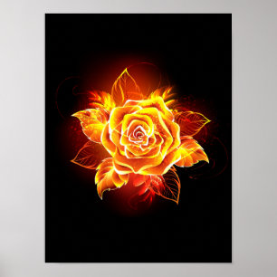 Blooming Fire Rose Poster
