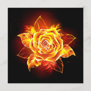 Blooming Fire Rose Programme