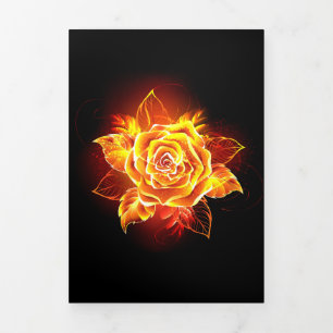 Blooming Fire Rose Tri-Fold Programme