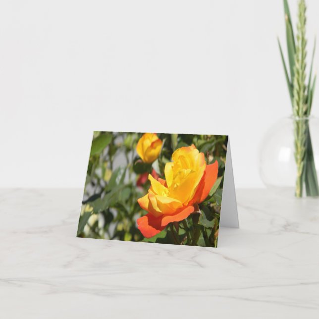 Blooming Gold.. Card (Front)