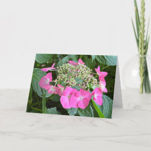Blooming Hydrangea Blank Note Card