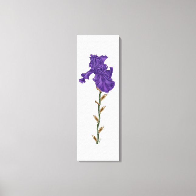 Blooming iris canvas print (Front)
