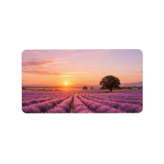 Blooming Lavender Field at Golden Sunset Provence Label