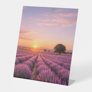 Blooming Lavender Field at Golden Sunset Provence Pedestal Sign
