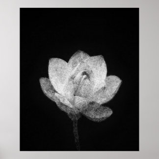 blooming lotus flower bud sketch art poster