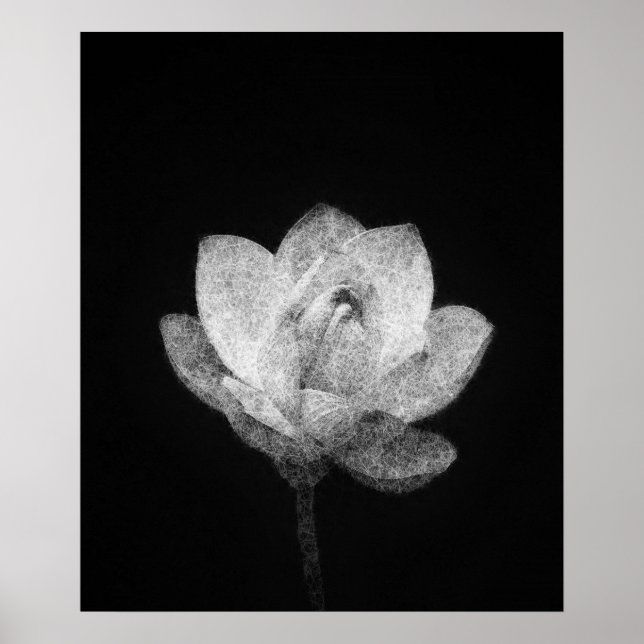 blooming lotus flower bud sketch art  poster (Front)