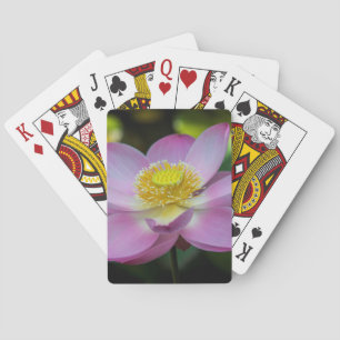 Blooming lotus flower, Indonesia Playing Cards