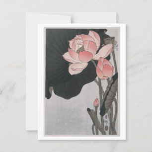 Blooming lotus flowers (1920 - 1930) postcard