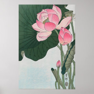 Blooming Lotus Flowers Japanese Fine Art Print