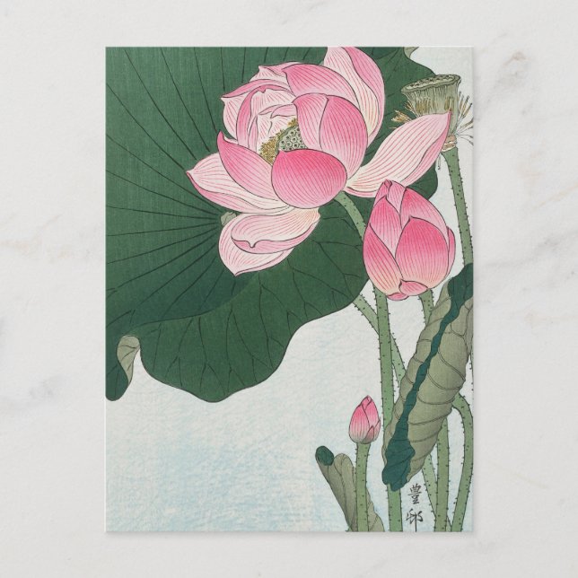 Blooming Lotus Flowers Painting by Ohara Koson Postcard (Front)