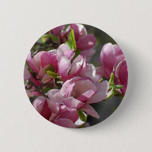 Blooming Magnolia 6 Cm Round Badge (Front)