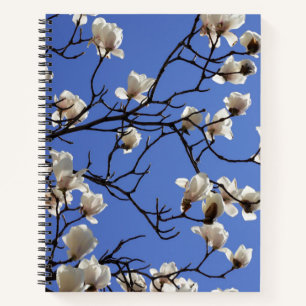 Blooming Magnolias Notebook