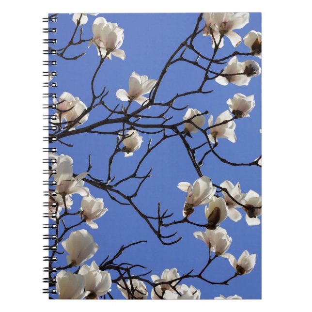 Blooming Magnolias Notebook (Front)