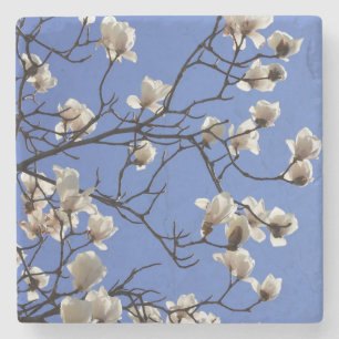 Blooming Magnolias Stone Coaster