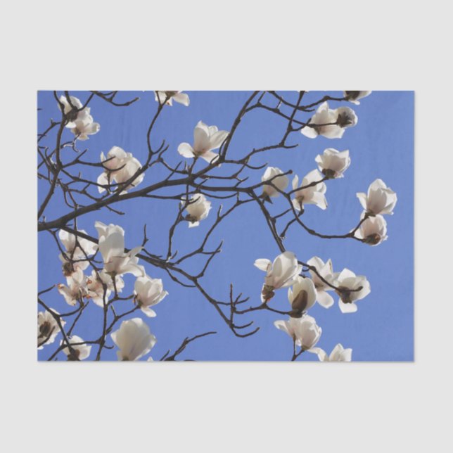 Blooming Magnolias Tissue Paper (Front)