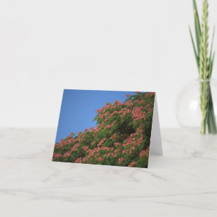 Blooming Mimosa Tree notecard