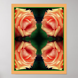 Blooming Peach Rose Mirror Flower Art Poster
