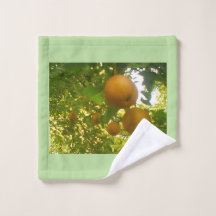 Blooming Pears