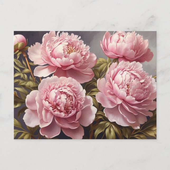 Blooming Peony Flowers  Postcard (Front)
