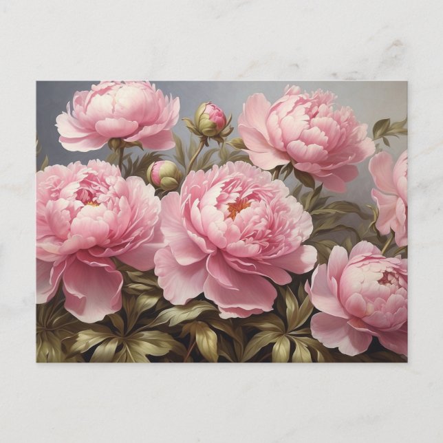Blooming Peony Flowers  Postcard (Front)