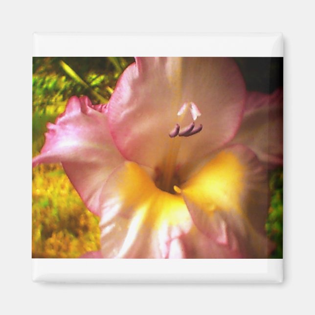 Blooming Pink Flower Magnet (Front)