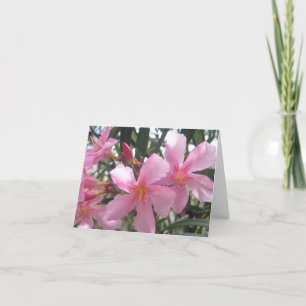 Blooming pink flowers card