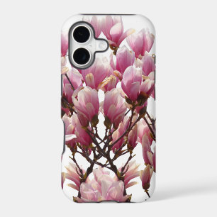 Blooming Pink Magnolias Spring Flower