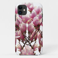 Blooming Pink Magnolias Spring Flower