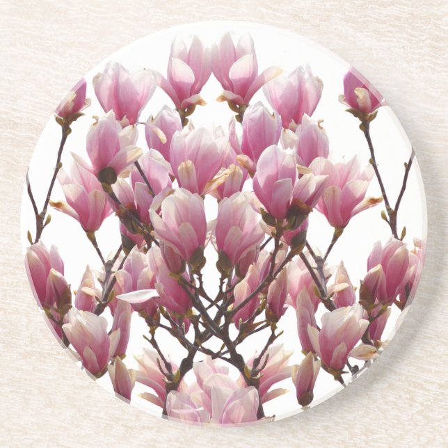 Blooming Pink Magnolias Spring Flower Coaster (Front)