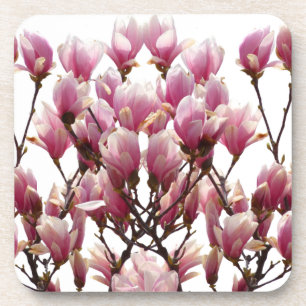 Blooming Pink Magnolias Spring Flower Coaster