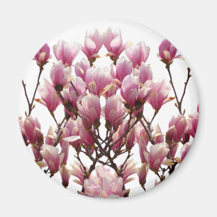 Blooming Pink Magnolias Spring Flower Magnet