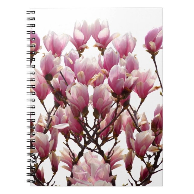 Blooming Pink Magnolias Spring Flower Spiral Notebook (Front)