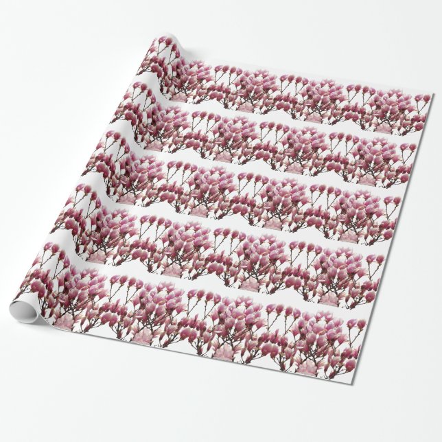 Blooming Pink Magnolias Spring Flower Wrapping Paper (Unrolled)