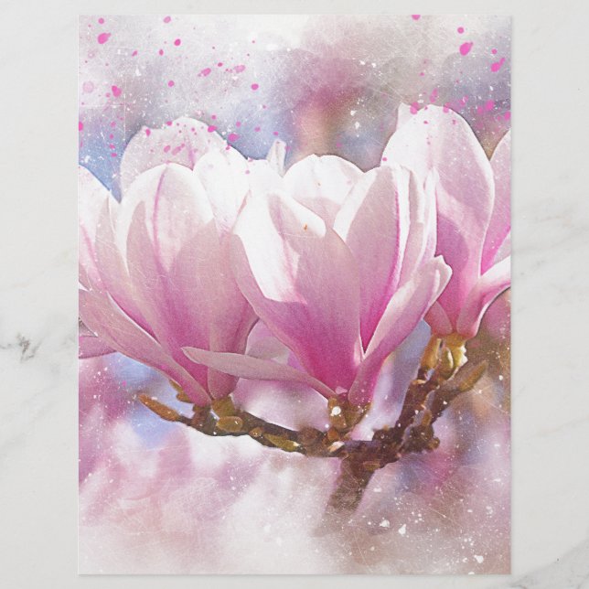 Blooming Pink Purple Magnolia - Spring Flower (Front)
